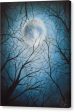 Lunar Nights - Canvas Print Online now